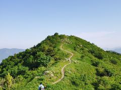 -大觉寺-停车场