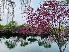 -无锡蠡湖国家湿地公园-蠡园
