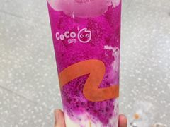 -CoCo都可(大华二店)