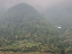 -神农溪纤夫文化旅游区