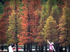 -白鹭湾湿地公园