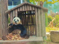 -大连森林动物园