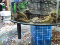 -抹直口特色菜馆(一店)