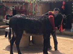 -白鹿原影视城