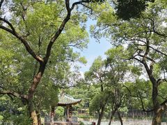 -星湖旅游景区七星岩