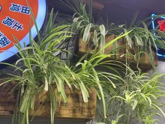 -塘屋烧烤·云南火塘烧烤品牌(联盟路店)