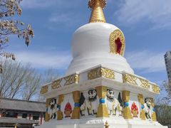 -护国法轮寺