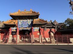 -药王庙(安国市)