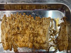 -古彭7只羊·招牌白串·碳锅羊肉旗舰店