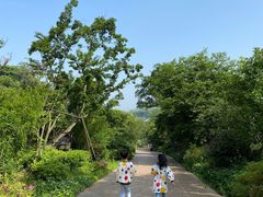 -杭州开元森泊度假乐园