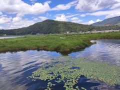 -腾冲北海湿地