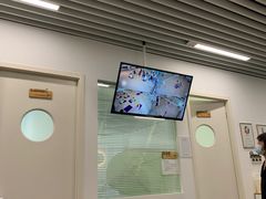 -红舞鞋舞蹈教育(近江校区)