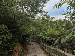 -大岭沟猕猴桃谷风景区