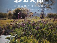 -大理洱海