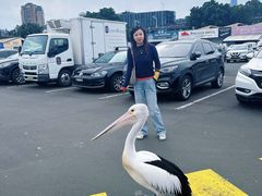 -悉尼歌剧院