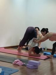 -兴亚瑜伽20年老馆