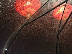-武汉两江游览·夜游长江(汉口粤汉码头)