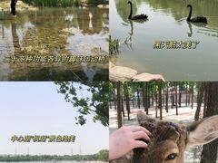 -郑州中国绿化博览园