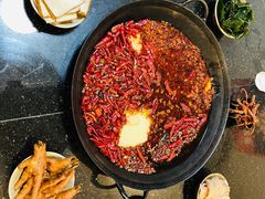 -肥龙火锅(南坪店)