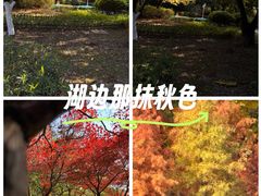 -金山公园