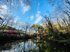 -杭州植物园