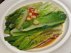 白灼罗马生菜-唐猫庭院·千年陕菜(大唐不夜城店)