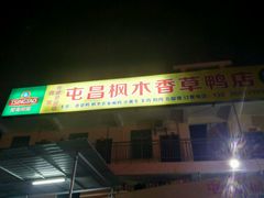 -霞姐屯昌枫木香草鸭店(海螺店)