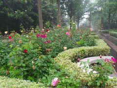 -苏州河梦清园环保主题公园