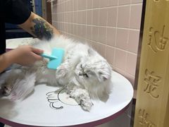 -FAELING PETS美天灵宠物(富力广场店)