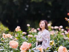 -人民公园(罗湖区)