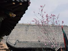 -长春观