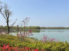 -苏州太湖国家湿地公园