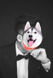 -THE QUEEN(北京店)