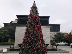 -上海崇明金茂凯悦酒店