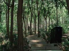 -南翠屏公园
