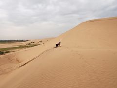 -亿利库布其七星湖沙漠生态旅游区
