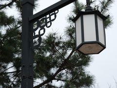 -八大山人梅湖景区