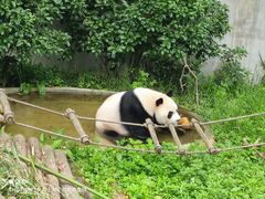 -黔灵山公园