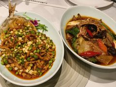 -沸腾鱼乡(知春路分店)