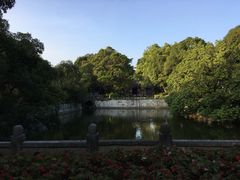 -柳侯公园
