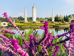 -云南民族村