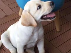 -佳雯宠物医院(四明中路分院)