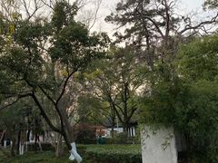 -月湖美术馆