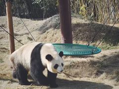 -杭州野生动物世界