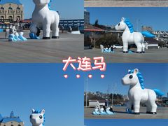 -黑石礁公园