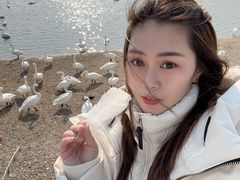 -烟墩角天鹅湖