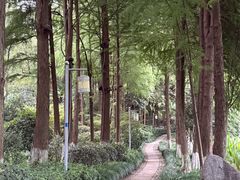 -八卦田遗址公园