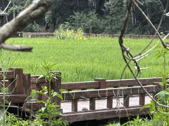 -高荡千年布依古寨旅游景区