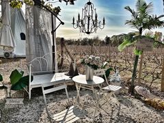 -安德鲁户外烧烤帐篷营地(马泉营店)