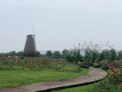 -漩门湾国家湿地公园